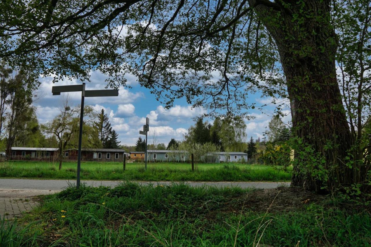 Geraumiges Familienfreundliches Ferienhaus 70 Qm I Strandnah I Terrasse I 2 Schlafzimmer I Nahe Werbellinsee Joachimsthal Eksteriør bilde